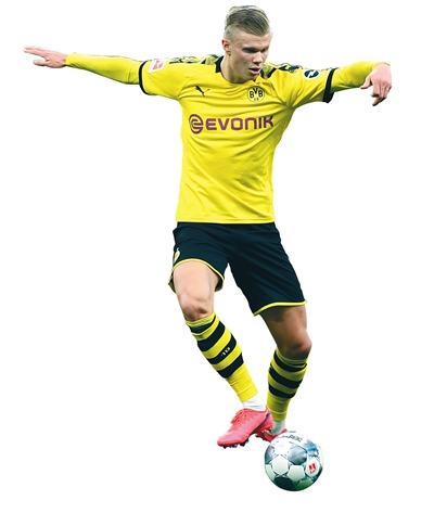 环境与偏置 环境与偏置